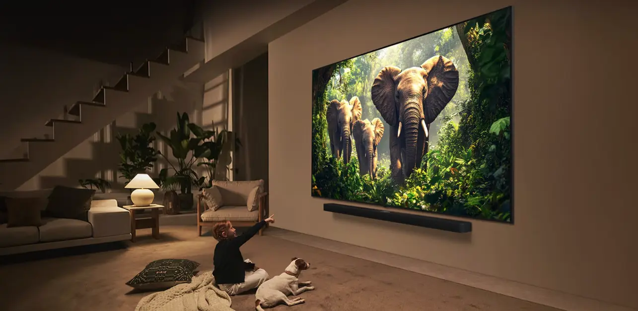 Телевизор LG 100QNED86A6 100'' QNED