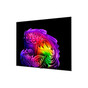 Телевизор LG OLED83G6RLA